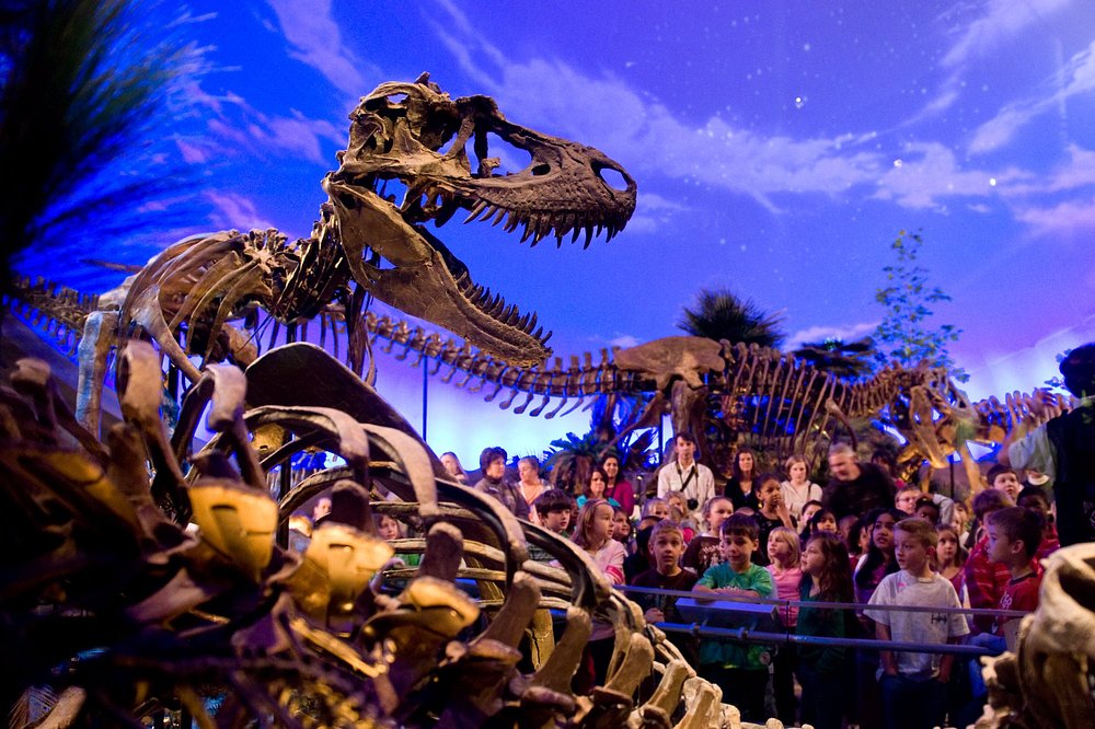 The Children’s Museum of Indianapolis